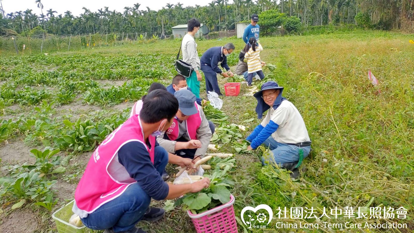 中華長照協會 獨居老人照護計畫「拔蘿蔔好彩頭拔頭籌」元旦出遊 花絮2